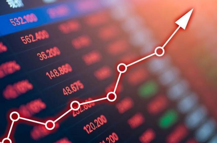 How Far Are Crazy Chip Stocks from True Domestic Substitution?